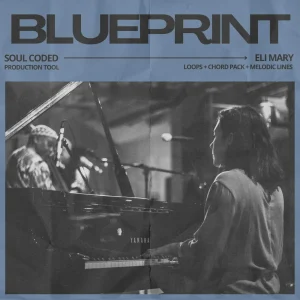 Blueprint: Soul Coded